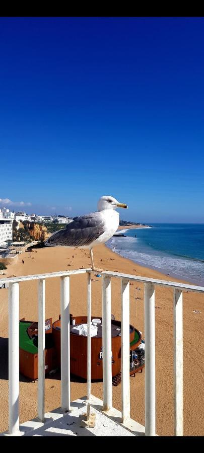 Albufeirasun, Arrive As A Guest Leave As A Friend. Apartment Albufeira